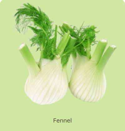 Fennel